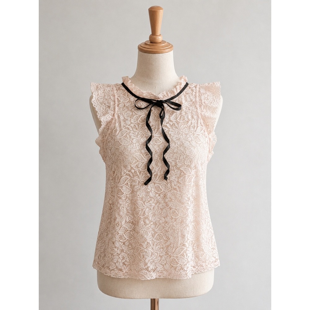 Soft Romance Lace Top | Coquette Balletcore Vibes on Blush size S/M